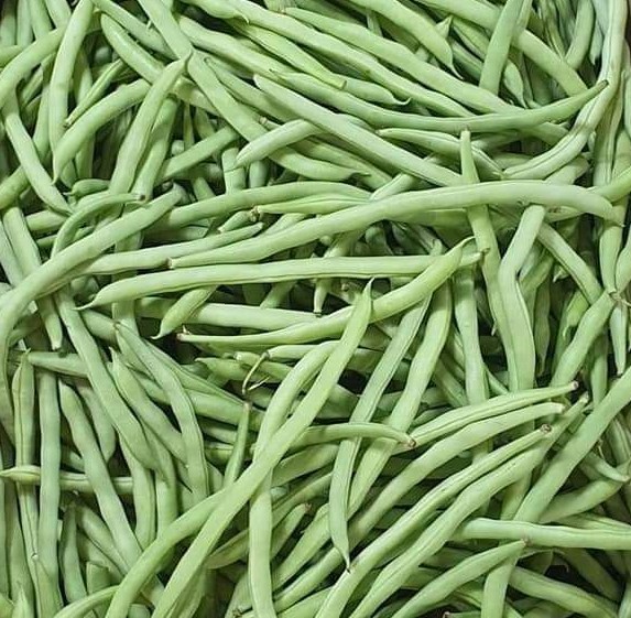 Haricot vert